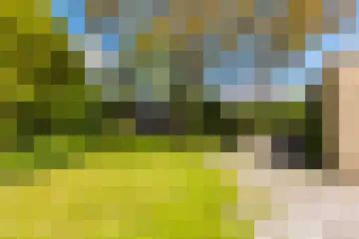 De Buorren 38 Lippenhuizen thumbnail 13