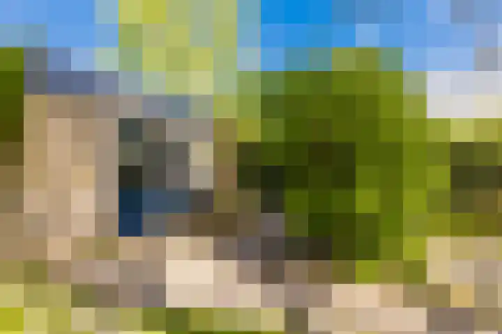 De Buorren 38 Lippenhuizen thumbnail 14