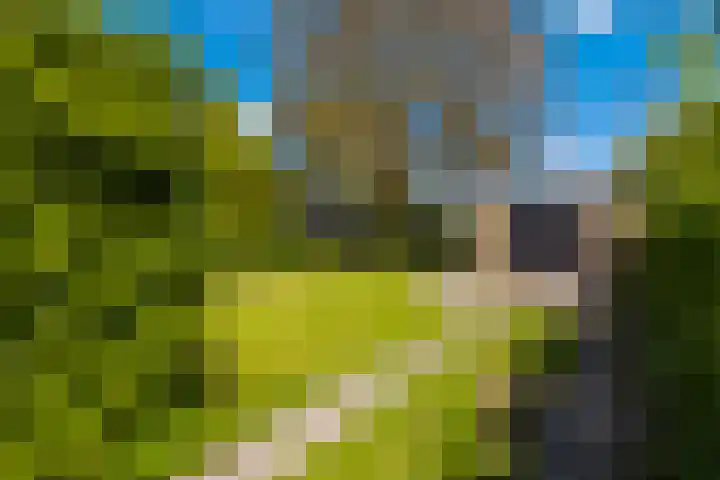 De Buorren 38 Lippenhuizen thumbnail 15