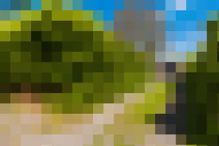De Buorren 38 Lippenhuizen thumbnail 16