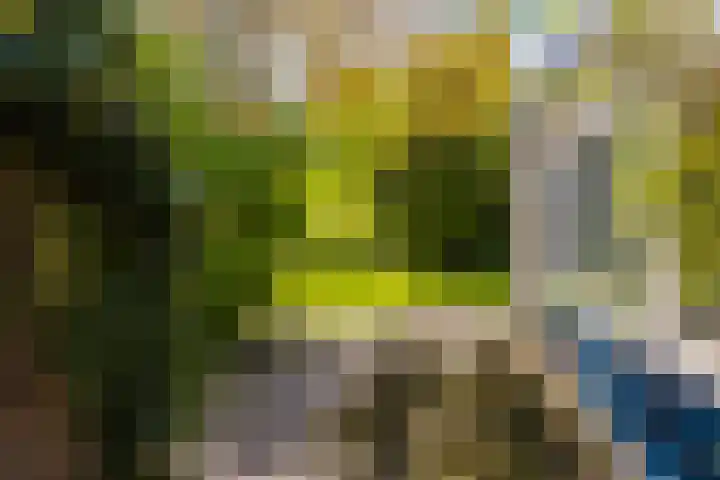 De Buorren 38 Lippenhuizen thumbnail 17