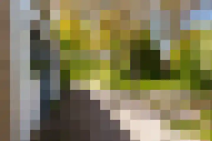 De Buorren 38 Lippenhuizen thumbnail 18