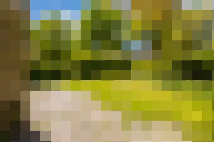 De Buorren 38 Lippenhuizen thumbnail 19