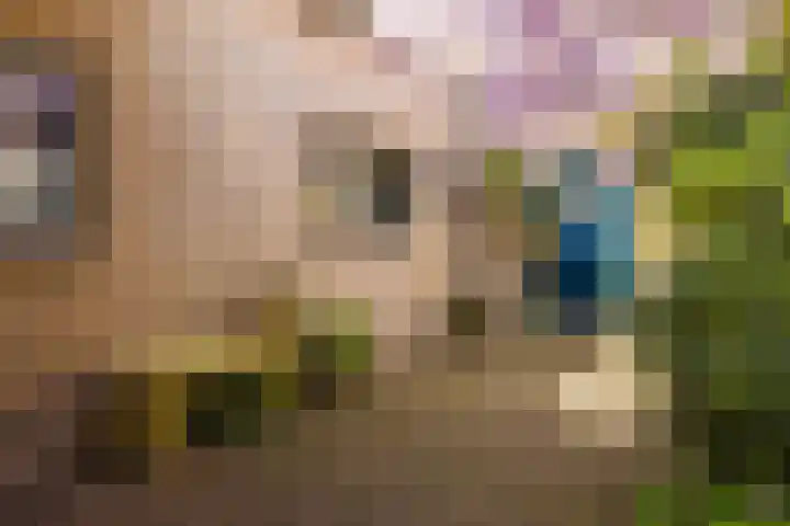 De Buorren 38 Lippenhuizen thumbnail 21