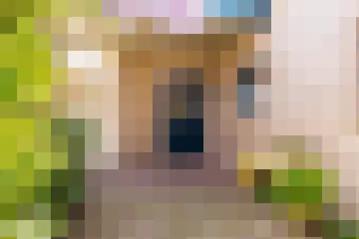 De Buorren 38 Lippenhuizen thumbnail 22