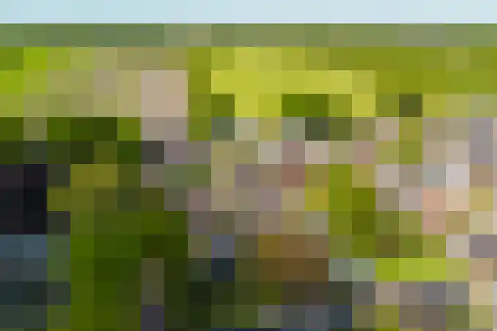 De Buorren 38 Lippenhuizen thumbnail 24