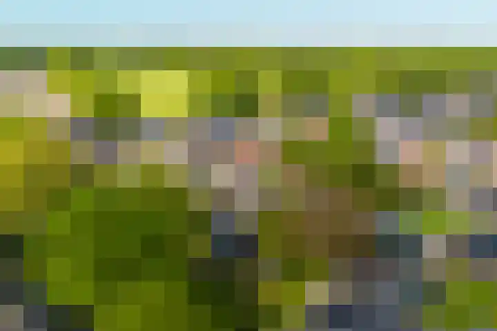 De Buorren 38 Lippenhuizen thumbnail 25