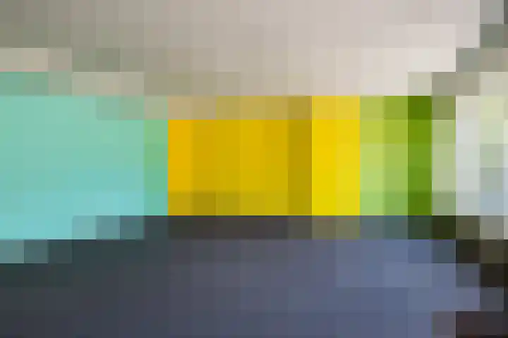 De Buorren 38 Lippenhuizen thumbnail 28