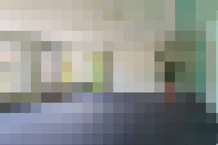 De Buorren 38 Lippenhuizen thumbnail 29