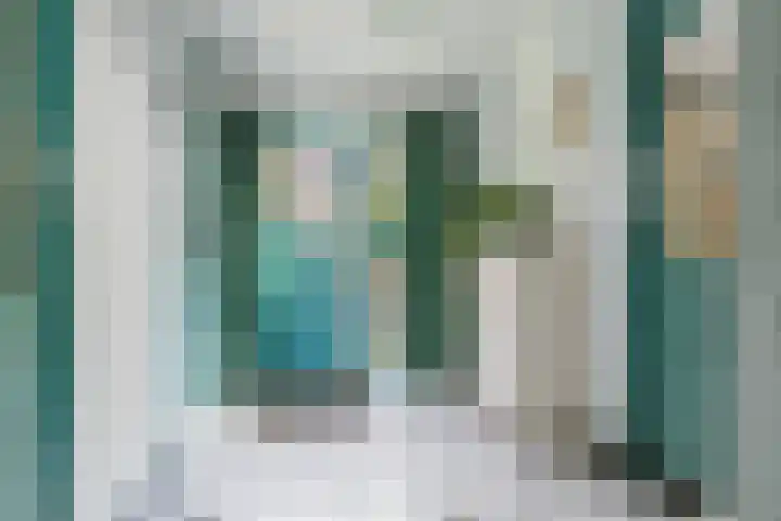 De Buorren 38 Lippenhuizen thumbnail 31