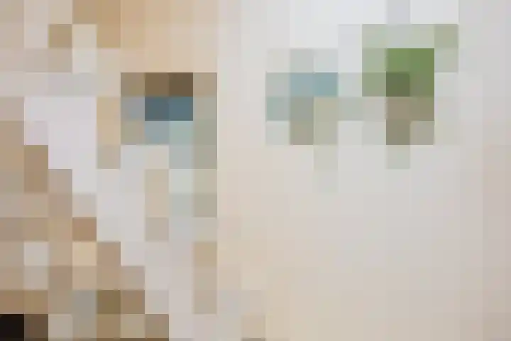 De Buorren 38 Lippenhuizen thumbnail 36