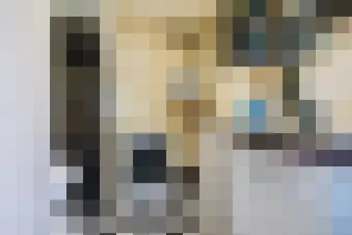 De Buorren 38 Lippenhuizen thumbnail 37