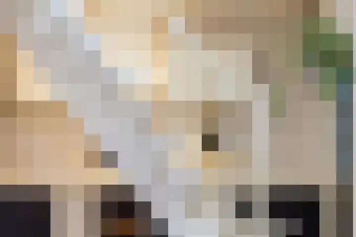 De Buorren 38 Lippenhuizen thumbnail 40