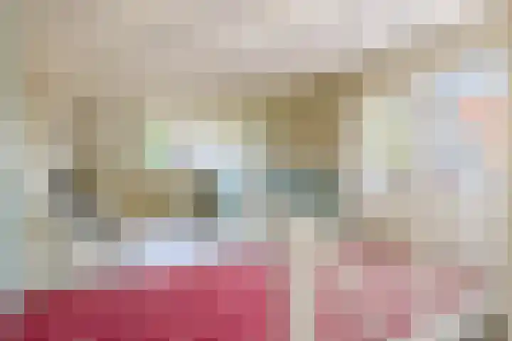 De Buorren 38 Lippenhuizen thumbnail 42