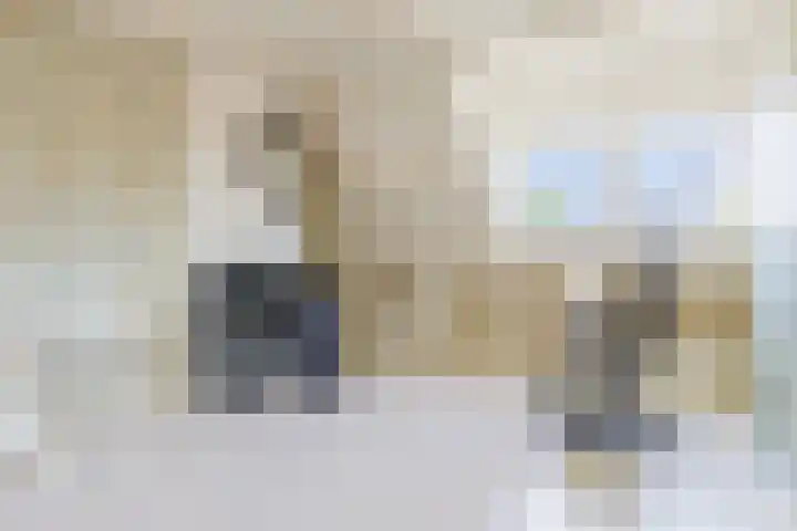 De Buorren 38 Lippenhuizen thumbnail 43