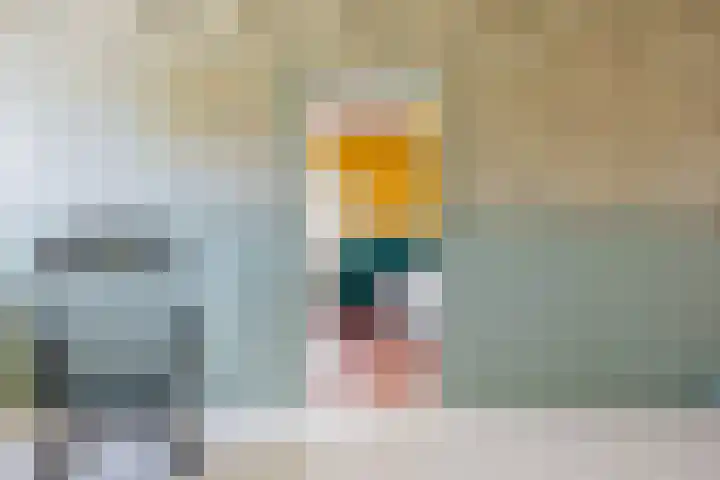 De Buorren 38 Lippenhuizen thumbnail 44