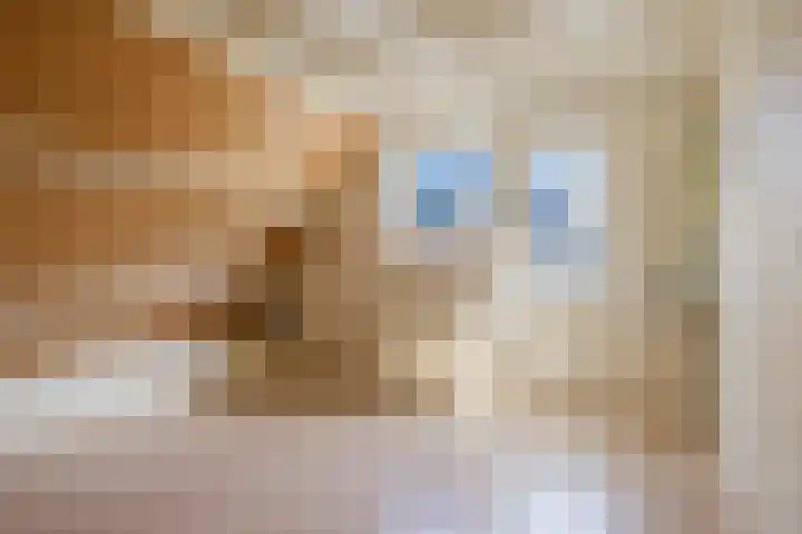 De Buorren 38 Lippenhuizen thumbnail 48