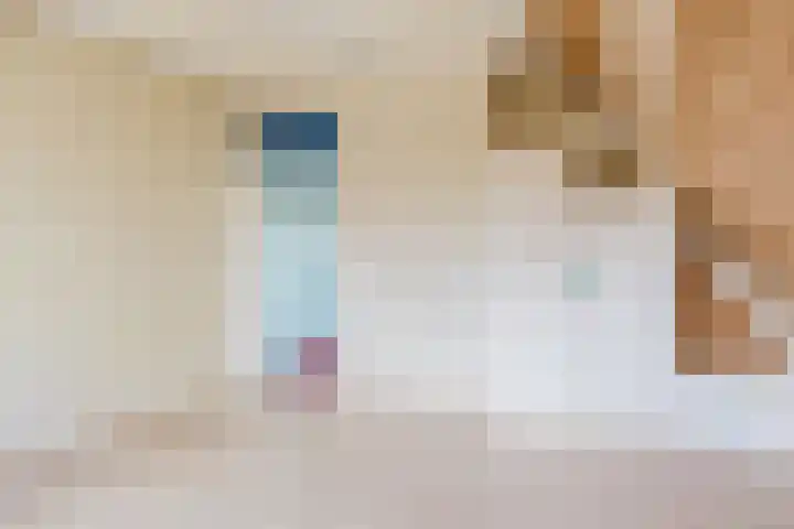 De Buorren 38 Lippenhuizen thumbnail 49