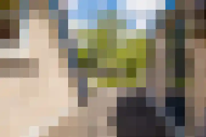 De Buorren 38 Lippenhuizen thumbnail 51