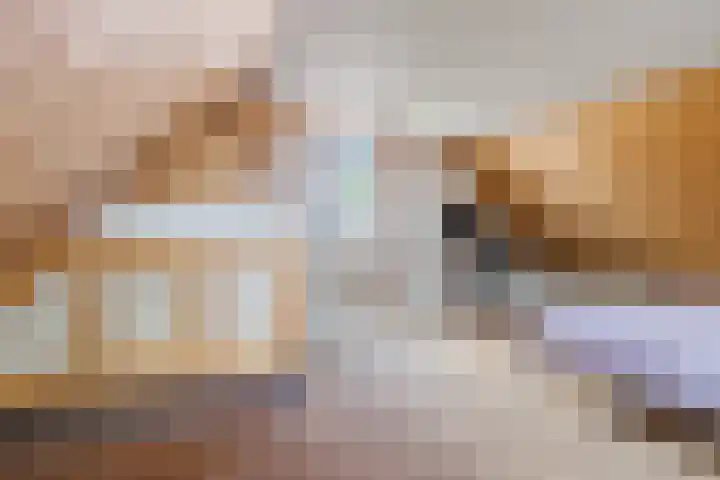 De Buorren 38 Lippenhuizen thumbnail 52