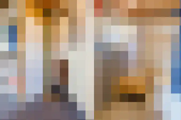 De Buorren 38 Lippenhuizen thumbnail 54