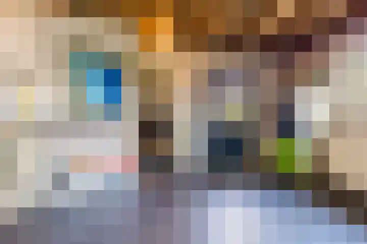 De Buorren 38 Lippenhuizen thumbnail 55
