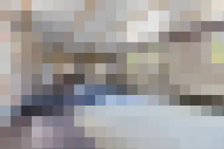De Buorren 38 Lippenhuizen thumbnail 59