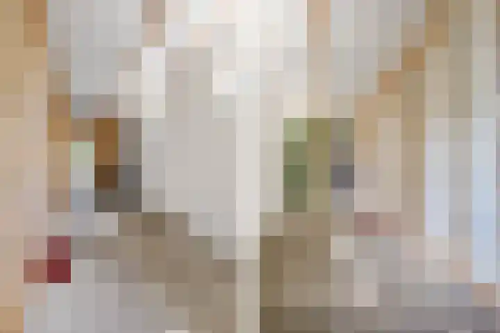 De Buorren 38 Lippenhuizen thumbnail 60