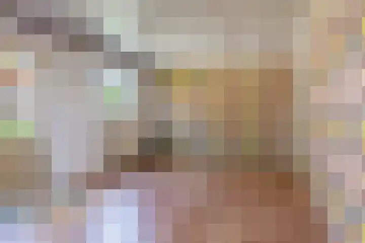 De Buorren 38 Lippenhuizen thumbnail 61