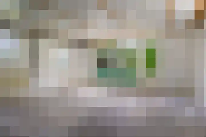 De Buorren 38 Lippenhuizen thumbnail 63