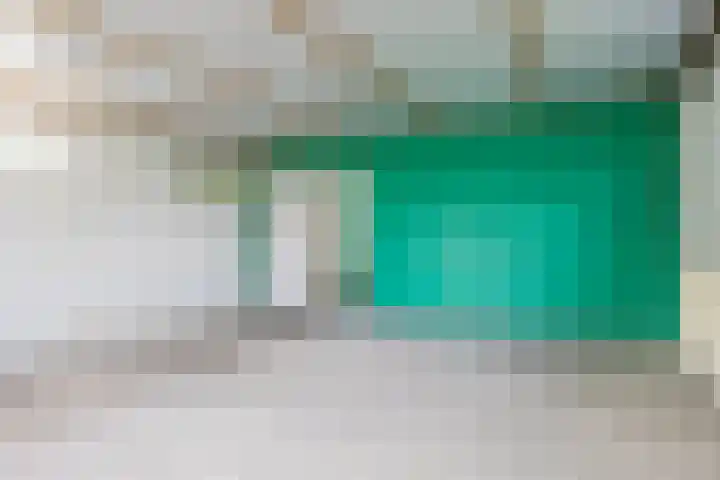 De Buorren 38 Lippenhuizen thumbnail 64