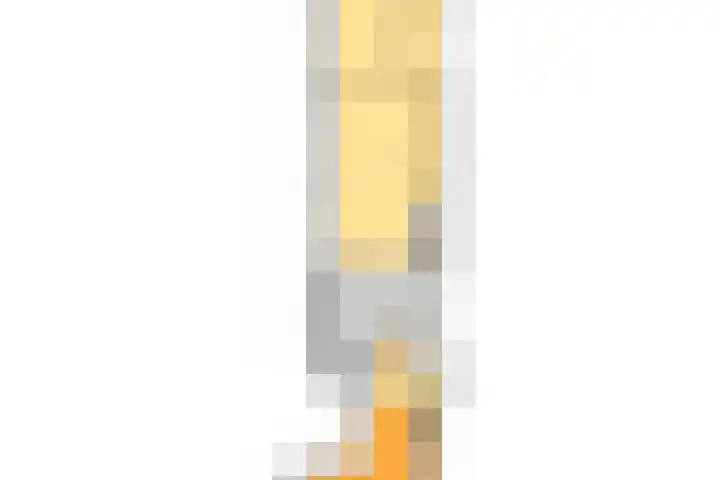De Buorren 38 Lippenhuizen thumbnail 66