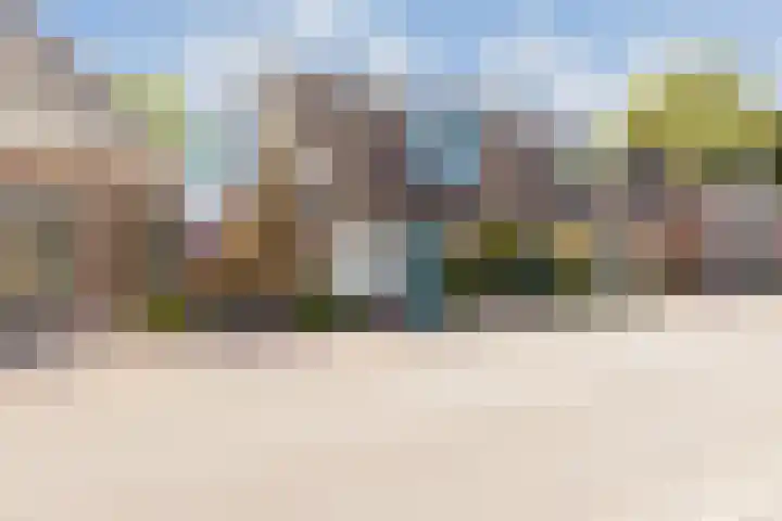 De Buorren 38 Lippenhuizen thumbnail 69