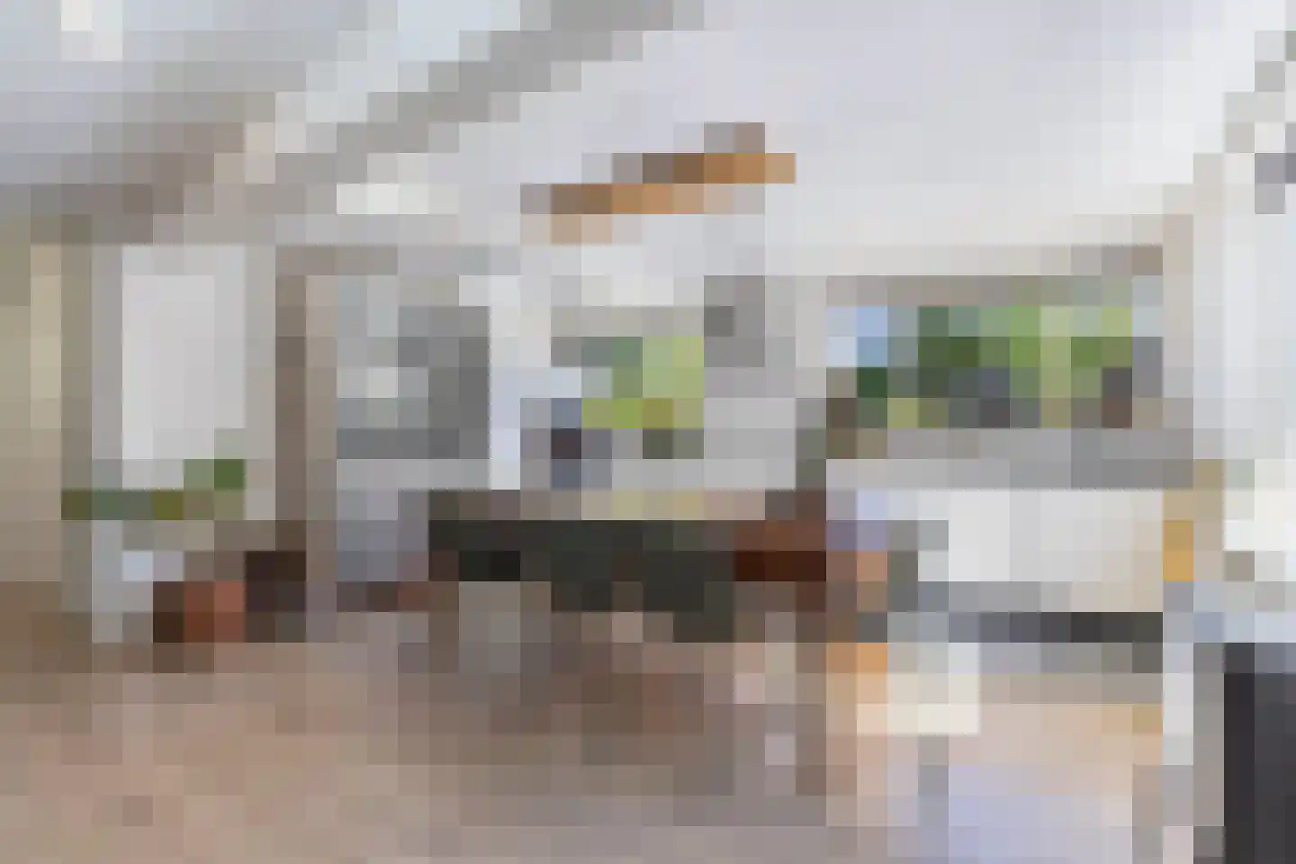 De Buorren 40 Lippenhuizen thumbnail 11