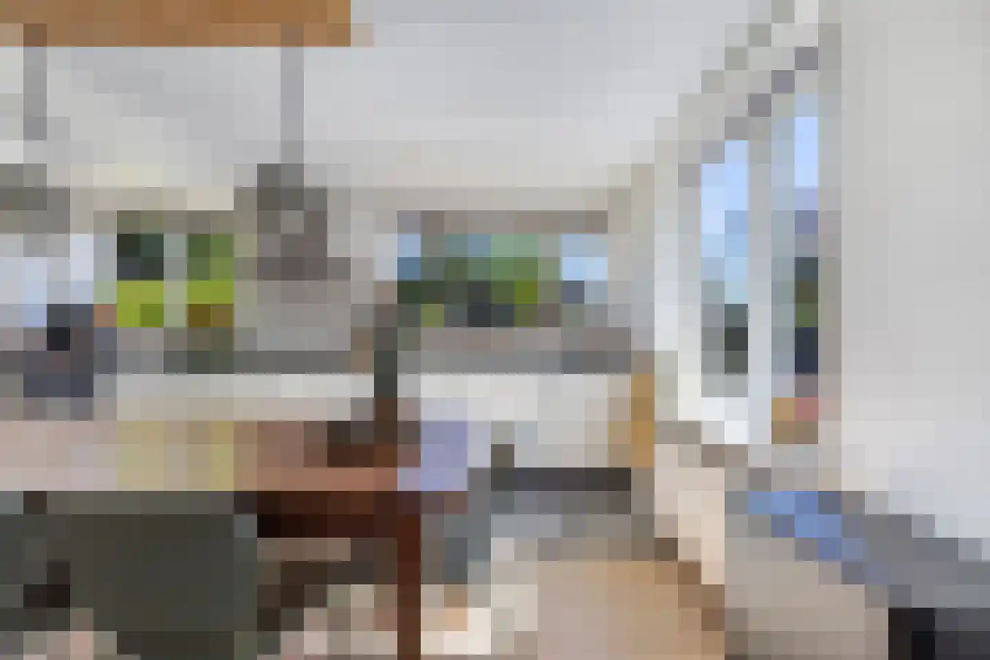 De Buorren 40 Lippenhuizen thumbnail 12