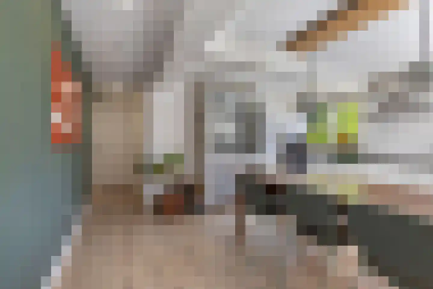 De Buorren 40 Lippenhuizen thumbnail 13