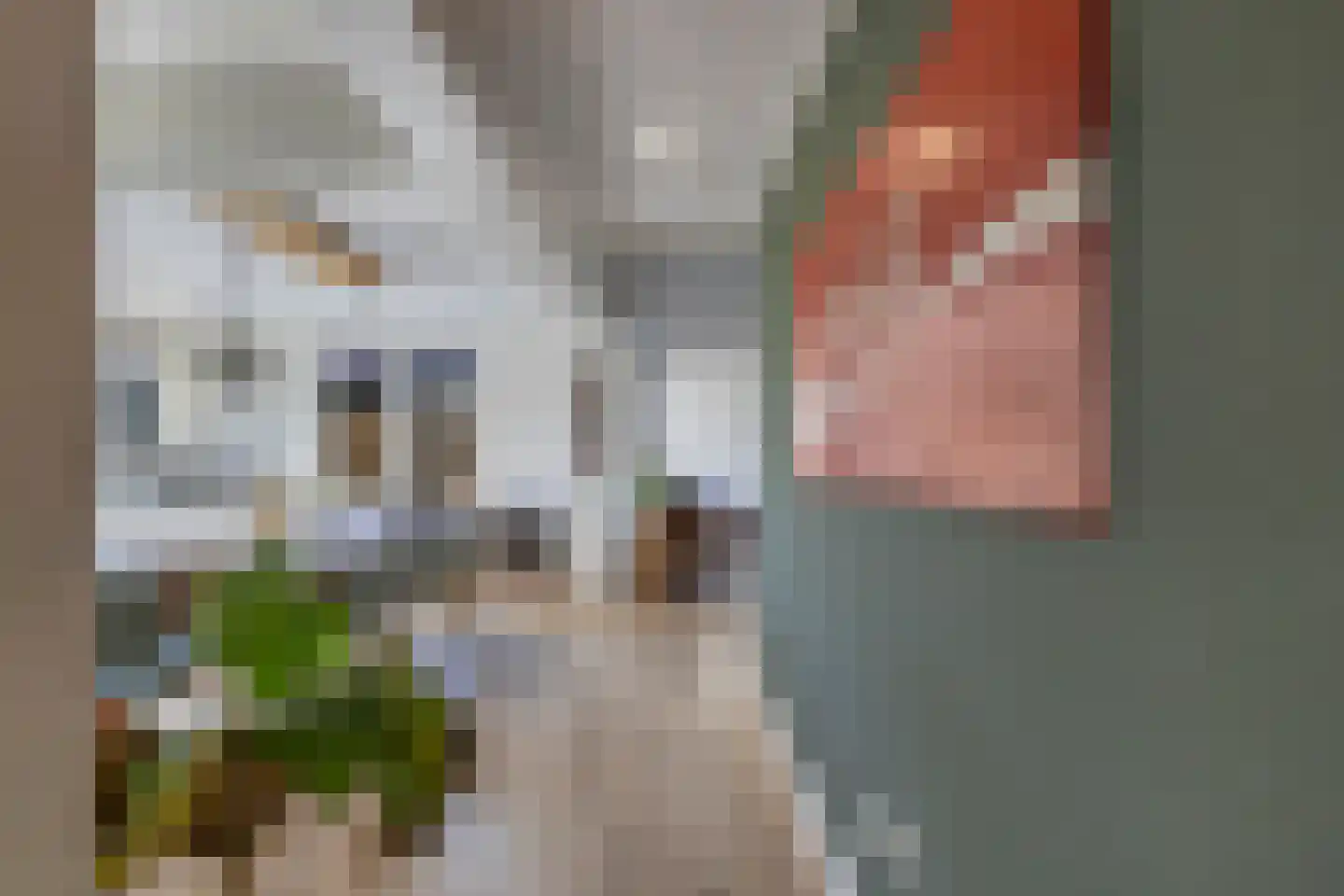 De Buorren 40 Lippenhuizen thumbnail 14