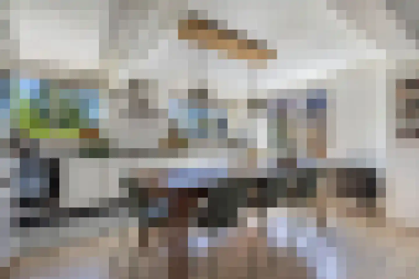 De Buorren 40 Lippenhuizen thumbnail 15