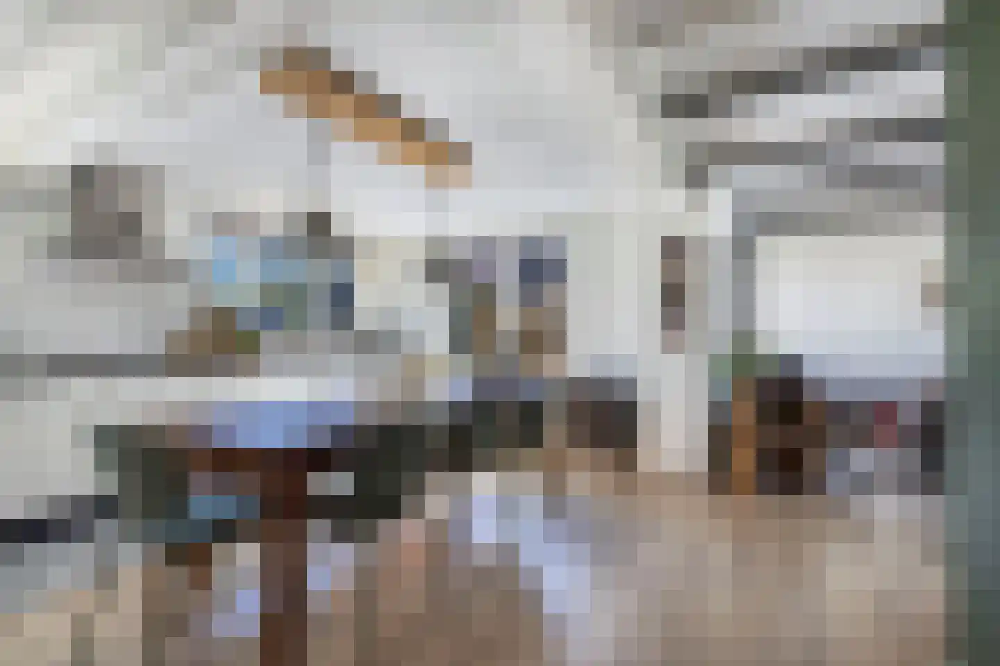 De Buorren 40 Lippenhuizen thumbnail 16