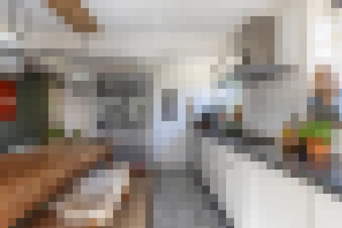 De Buorren 40 Lippenhuizen thumbnail 19
