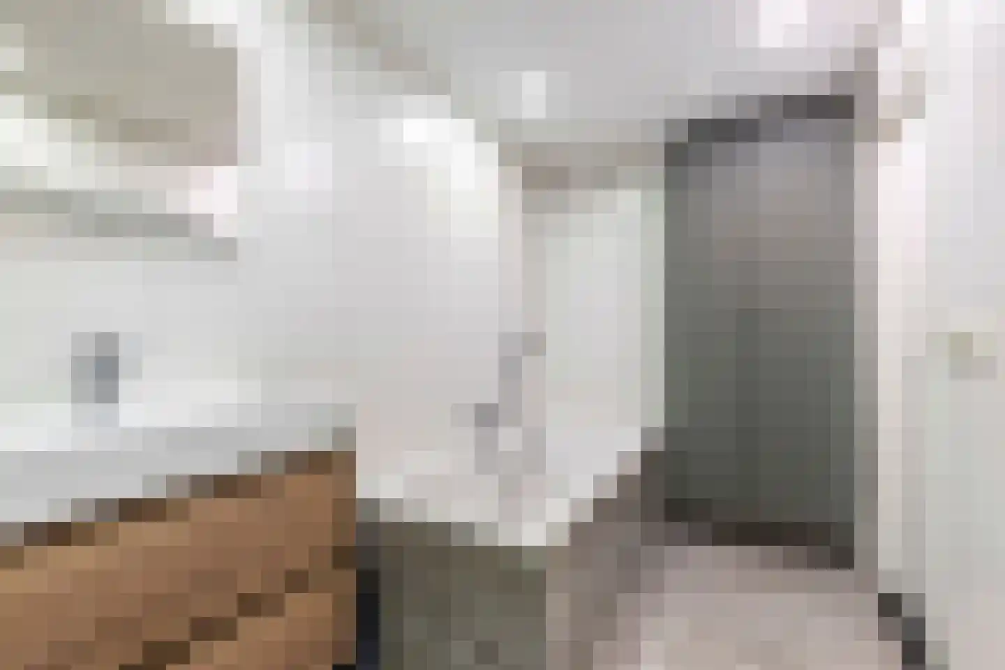De Buorren 40 Lippenhuizen thumbnail 24