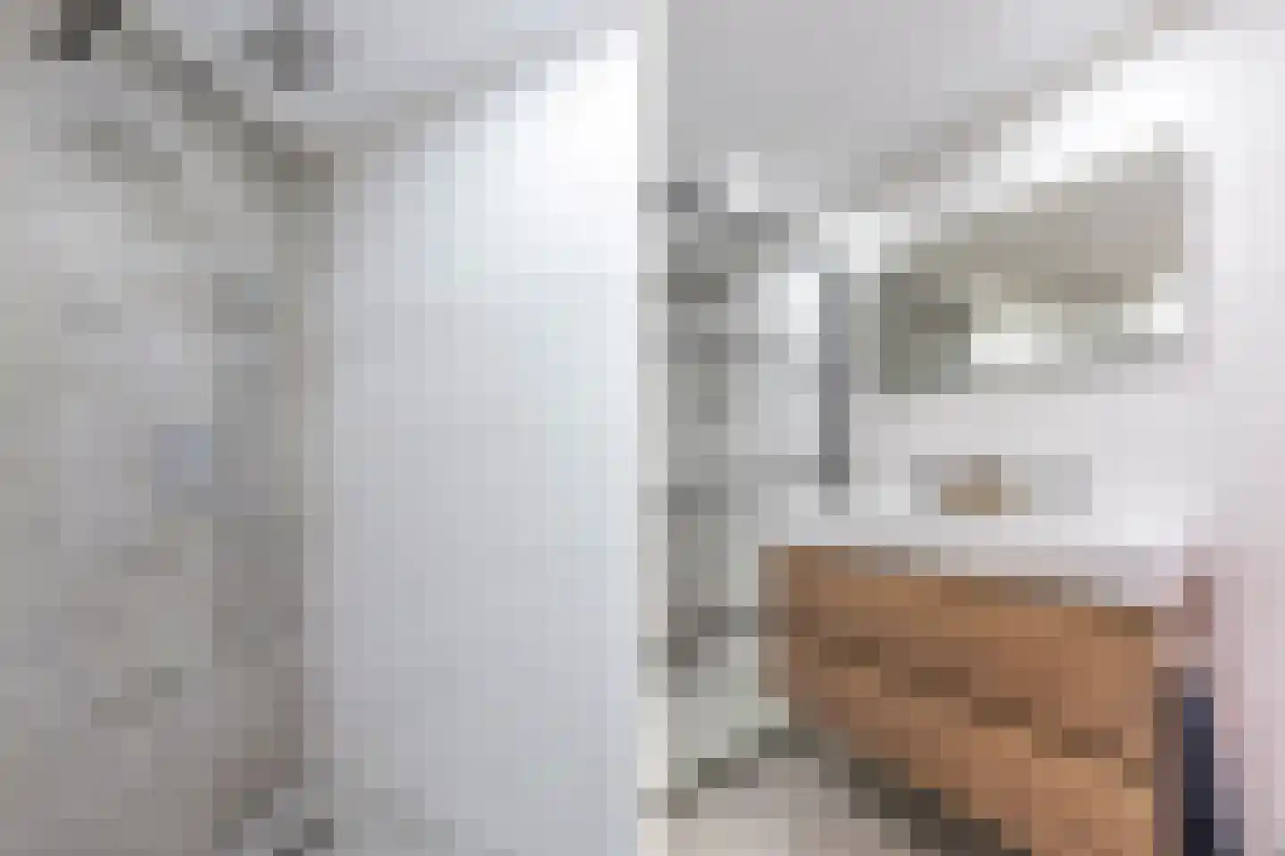 De Buorren 40 Lippenhuizen thumbnail 25