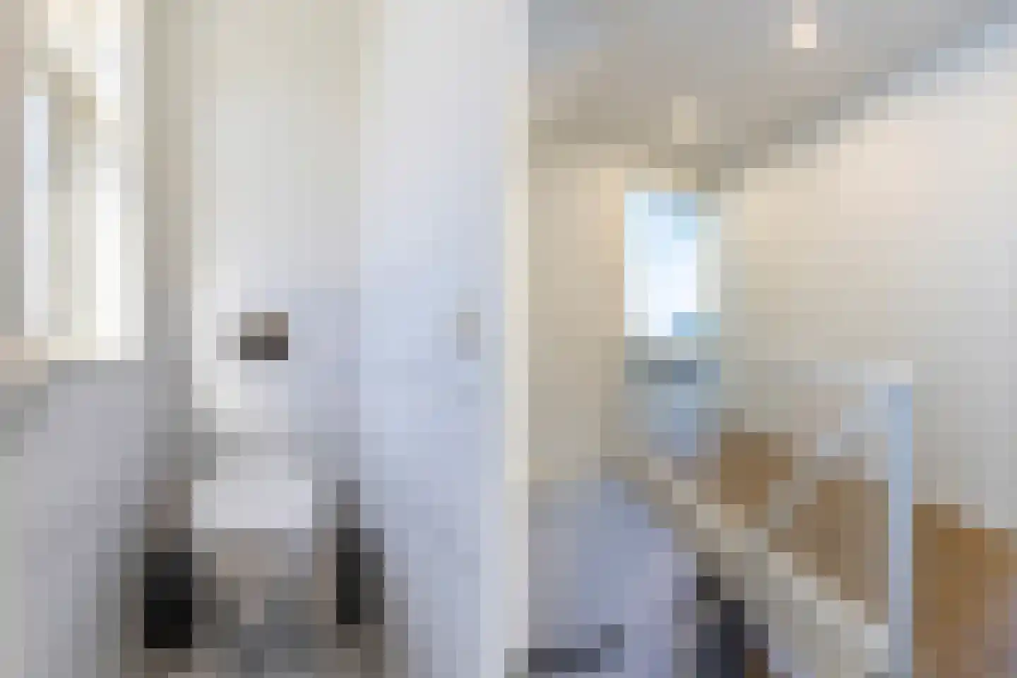 De Buorren 40 Lippenhuizen thumbnail 29