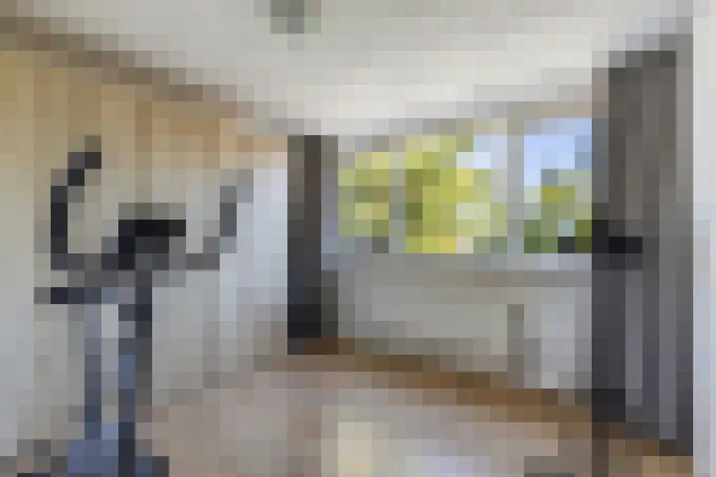 De Buorren 40 Lippenhuizen thumbnail 33