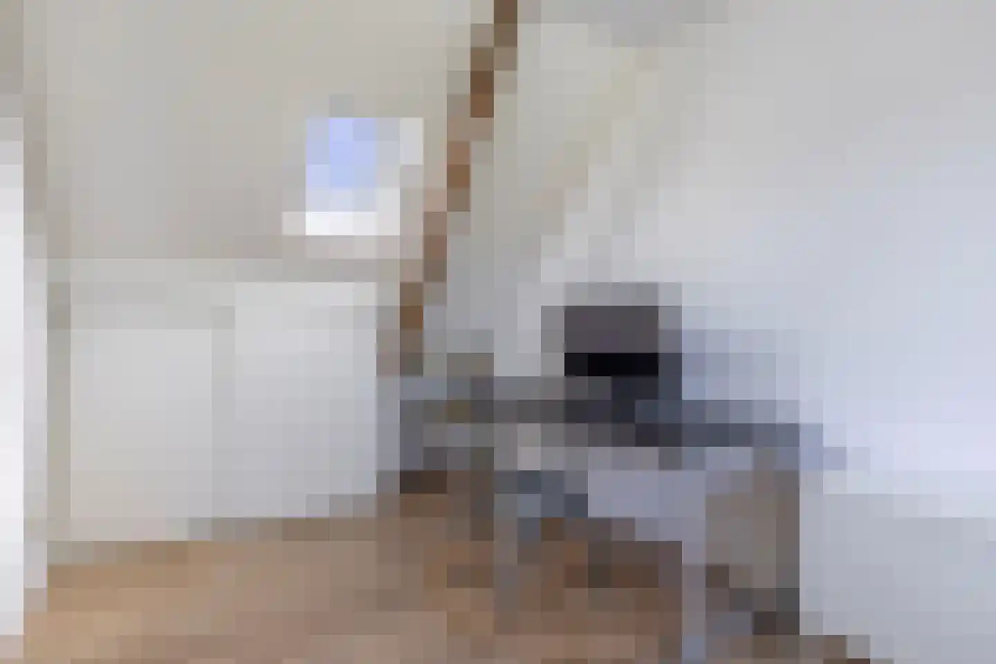 De Buorren 40 Lippenhuizen thumbnail 34