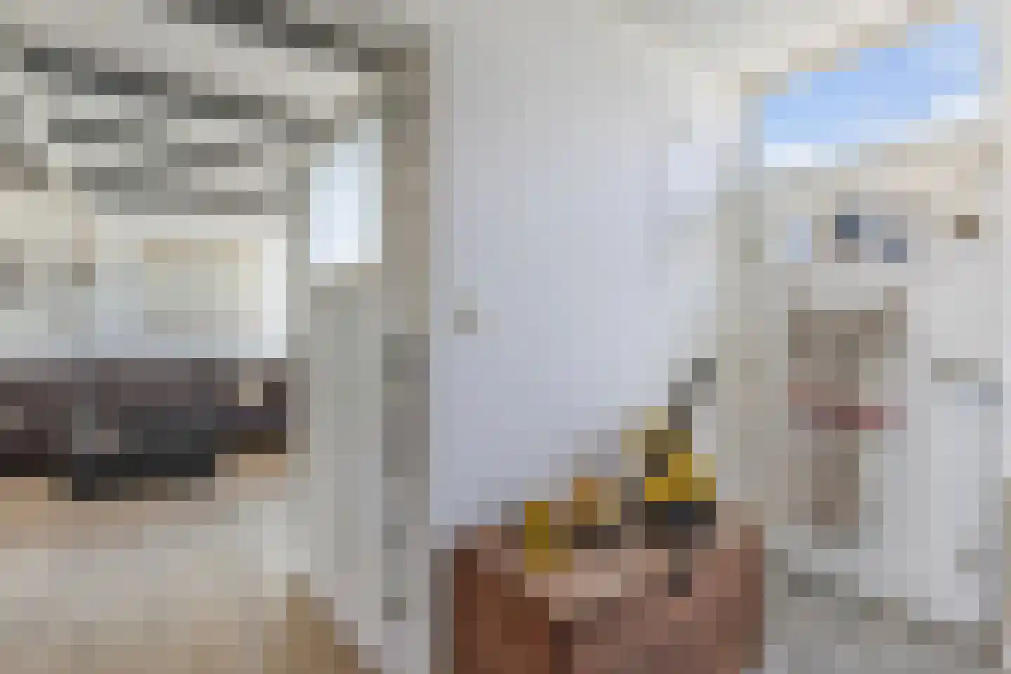 De Buorren 40 Lippenhuizen thumbnail 4