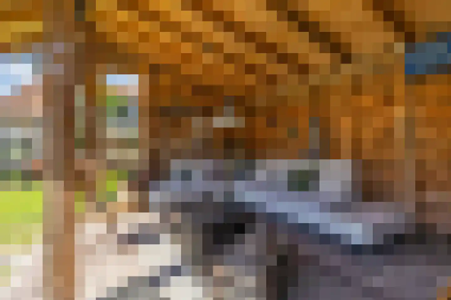 De Buorren 40 Lippenhuizen thumbnail 43