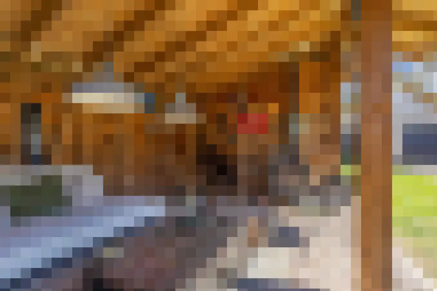 De Buorren 40 Lippenhuizen thumbnail 44