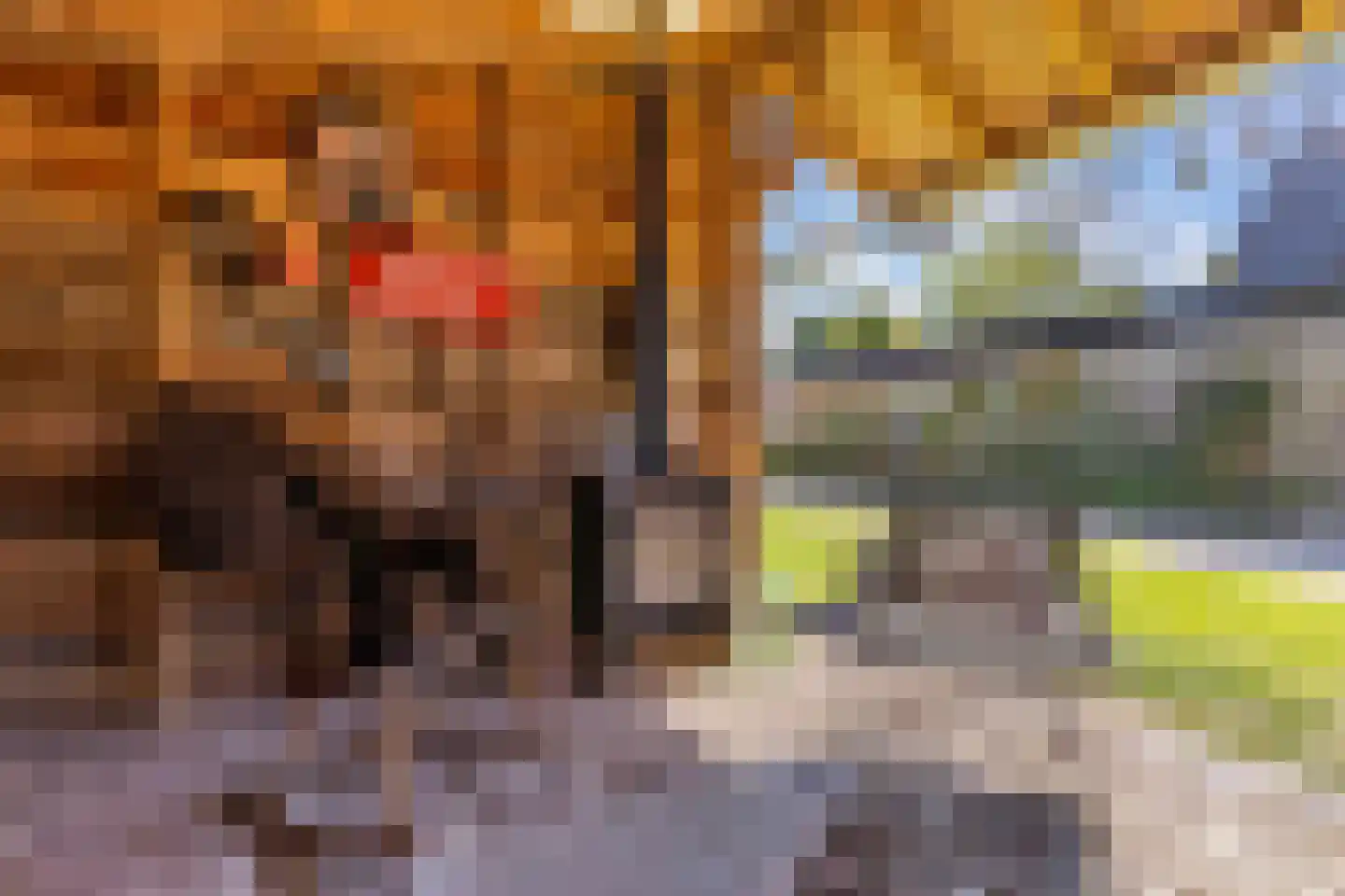 De Buorren 40 Lippenhuizen thumbnail 45