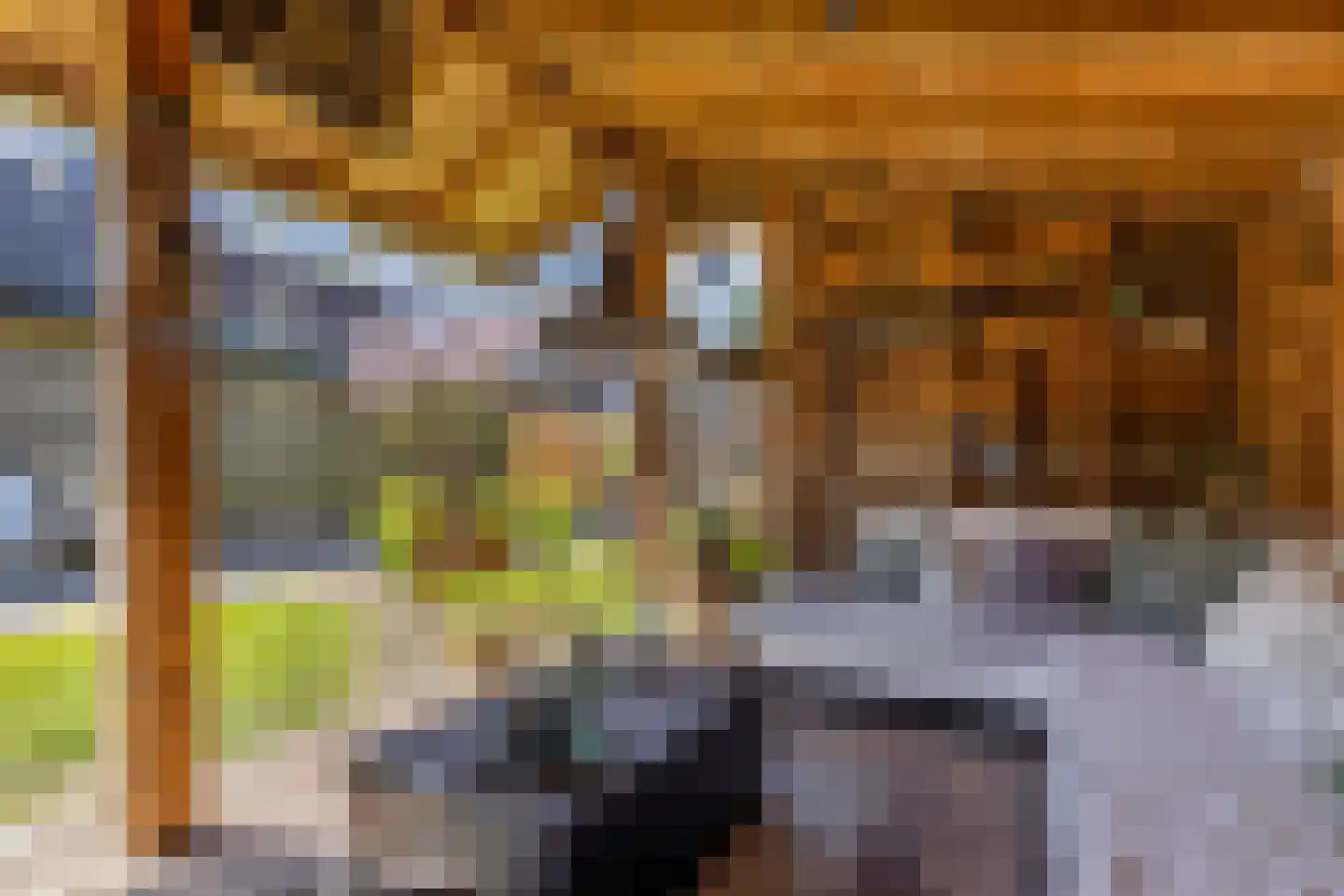 De Buorren 40 Lippenhuizen thumbnail 46